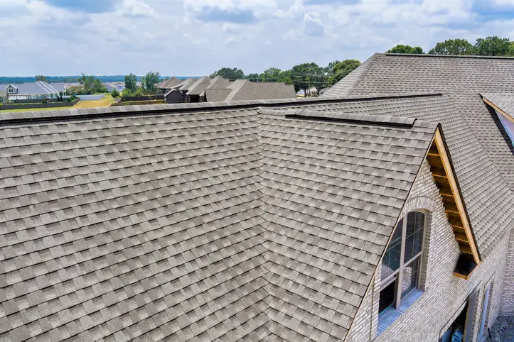 Professional Roofing Company Professional Roofing Company